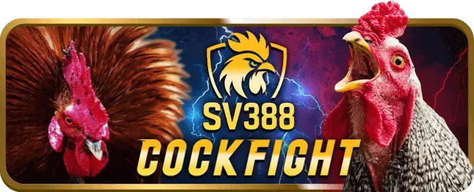 Hình ảnh minh họa các ưu đãi độc quyền dành cho người dùng mới tại s88bet, bao gồm tiền thưởng chào mừng lớn, vòng quay miễn phí và các gói quà tặng giá trị, được trình bày một cách hấp dẫn với hiệu ứng ánh sáng vàng và xanh lá. s88bet hiện đang mở.
